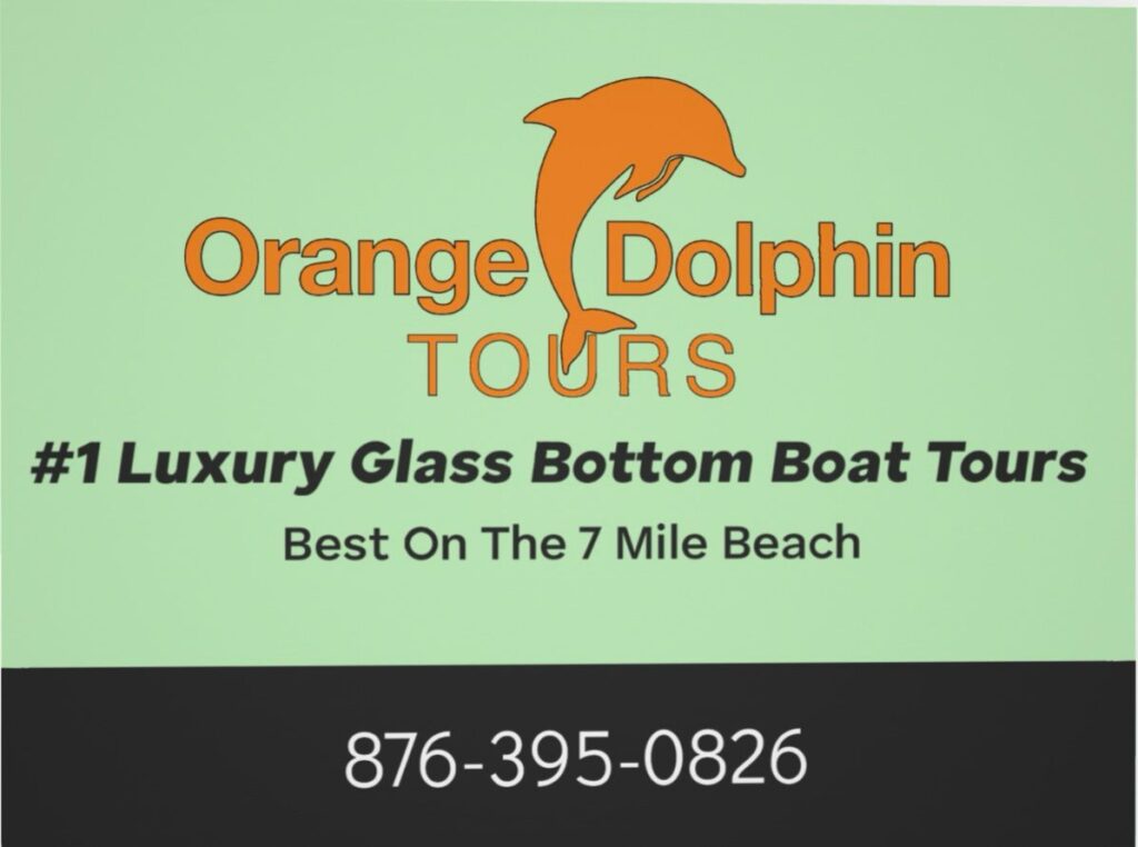 Welcome to Orange Dolphin Tours!